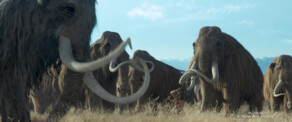 Texturing - Mammoth tusks