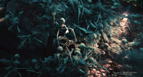 Texturing - Tooth Fairy