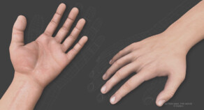 Modeling and look development - hand
