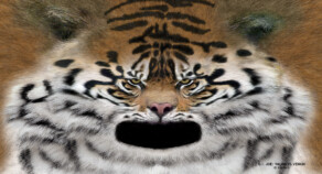 Texturing - creature texture example