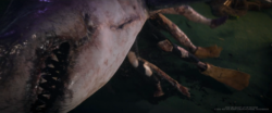 Texturing - zombie shark